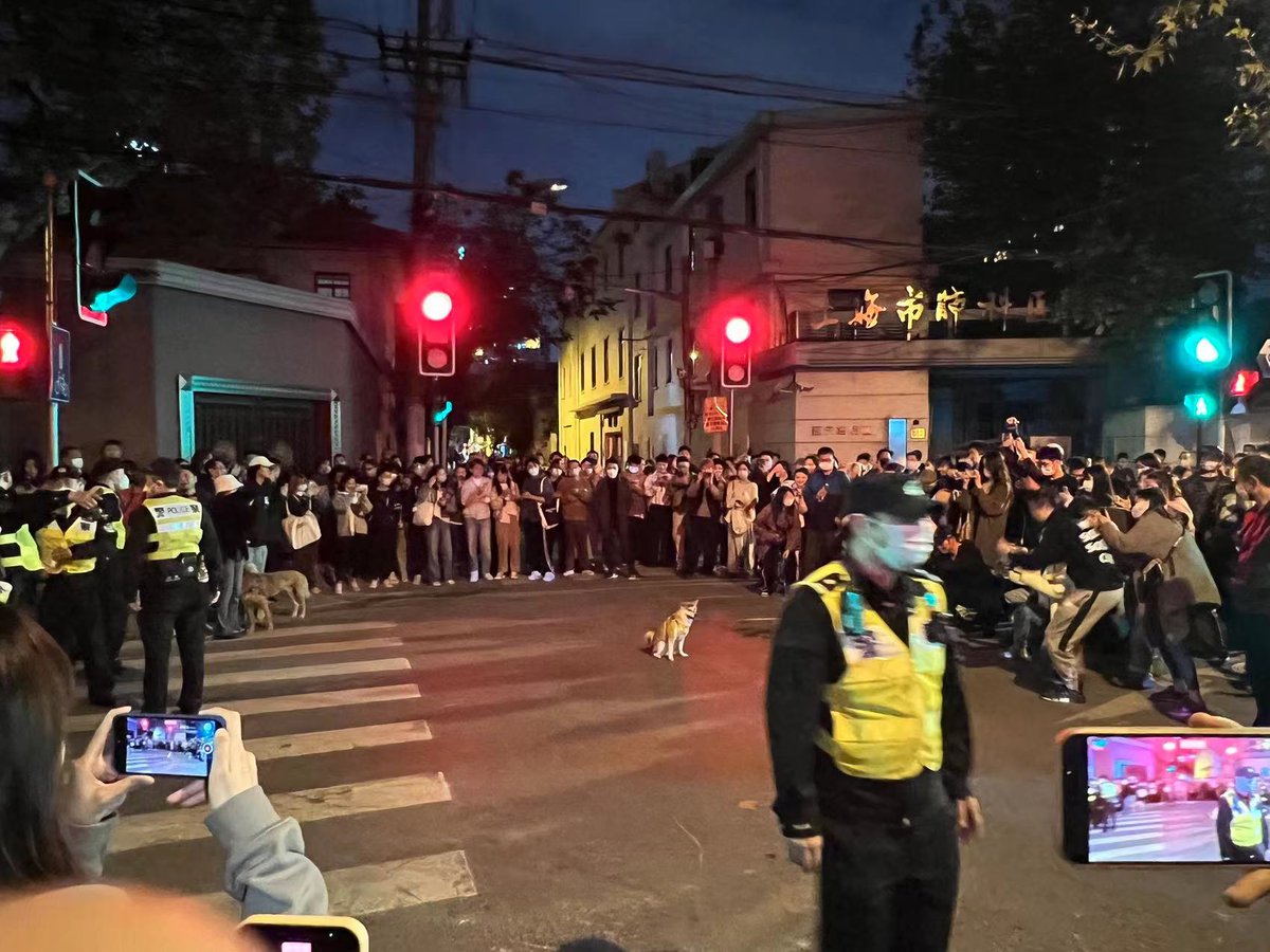 W3MDao's tweet photo. 11.27 20:42 ,Shanghai.  A cute $DOGE was sitting in the centre of protesters，spreading peace &amp; love.
@dogecoin  @Ashcryptoreal  @elonmusk @VitalikButerin @cz_binance https://t.co/7vwP1ouJ8n