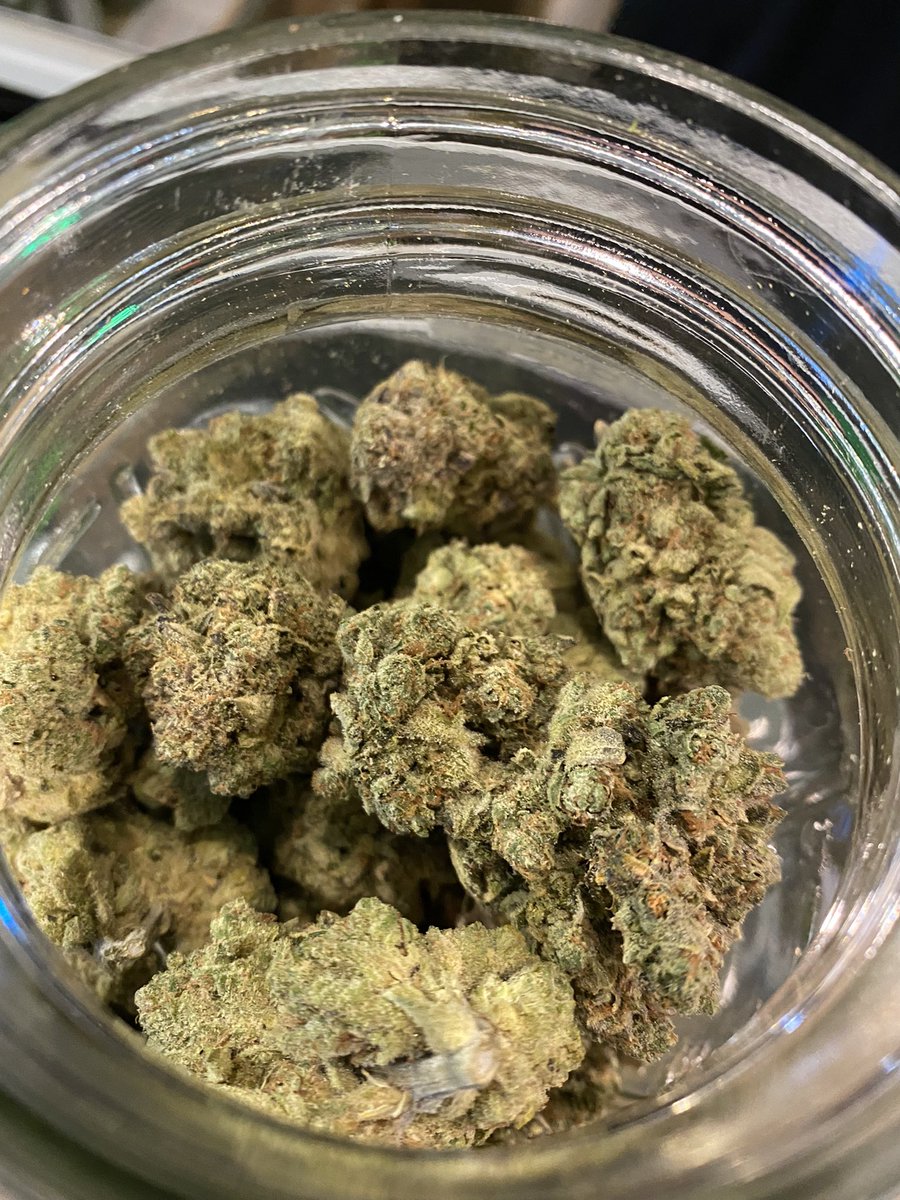 thecdcpdx's tweet photo. A couple of our fav #sativa strains rn- both grown by #Excolo https://t.co/KszfY5LbiX