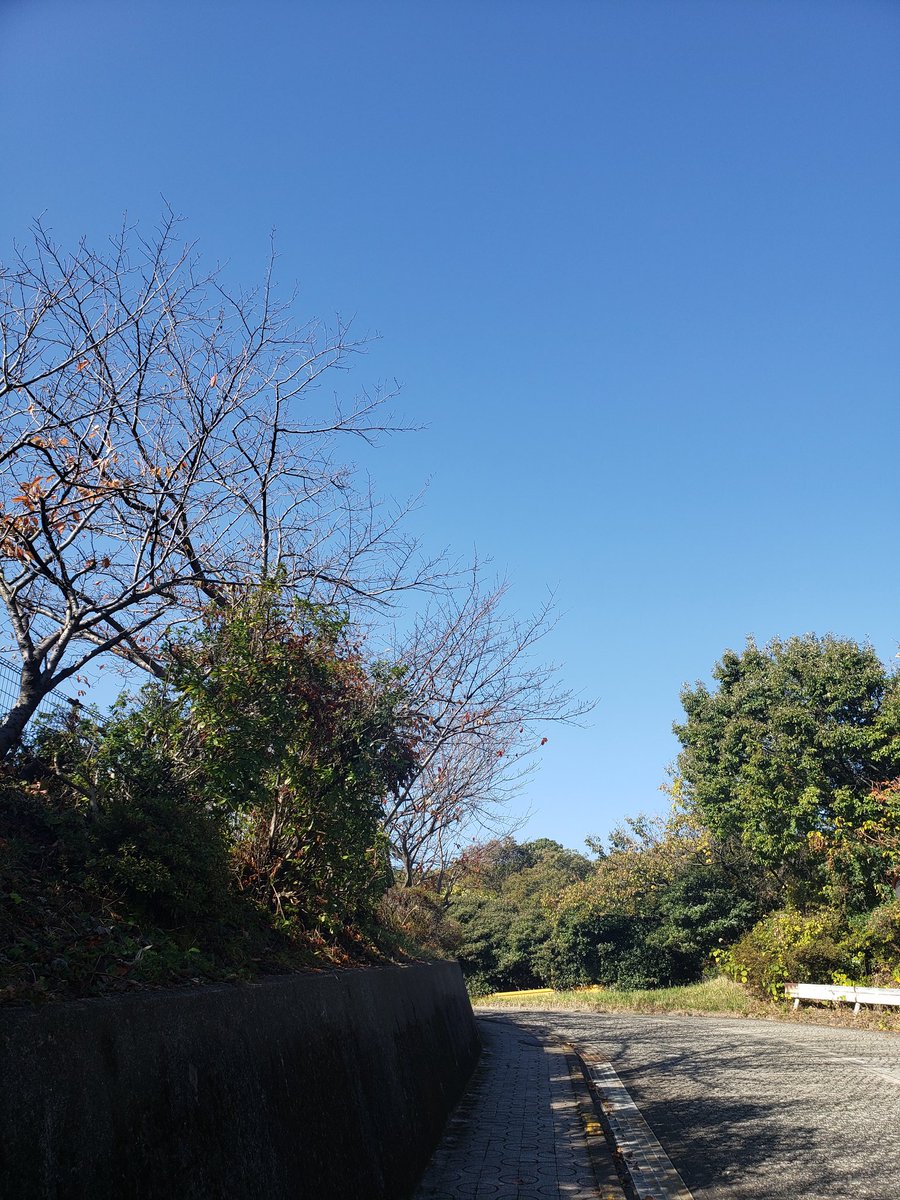 7t4Y1fX4IoO8bhF's tweet photo. こんにちは💙青空＼(^o^)／ https://t.co/S2tNiRBWrl