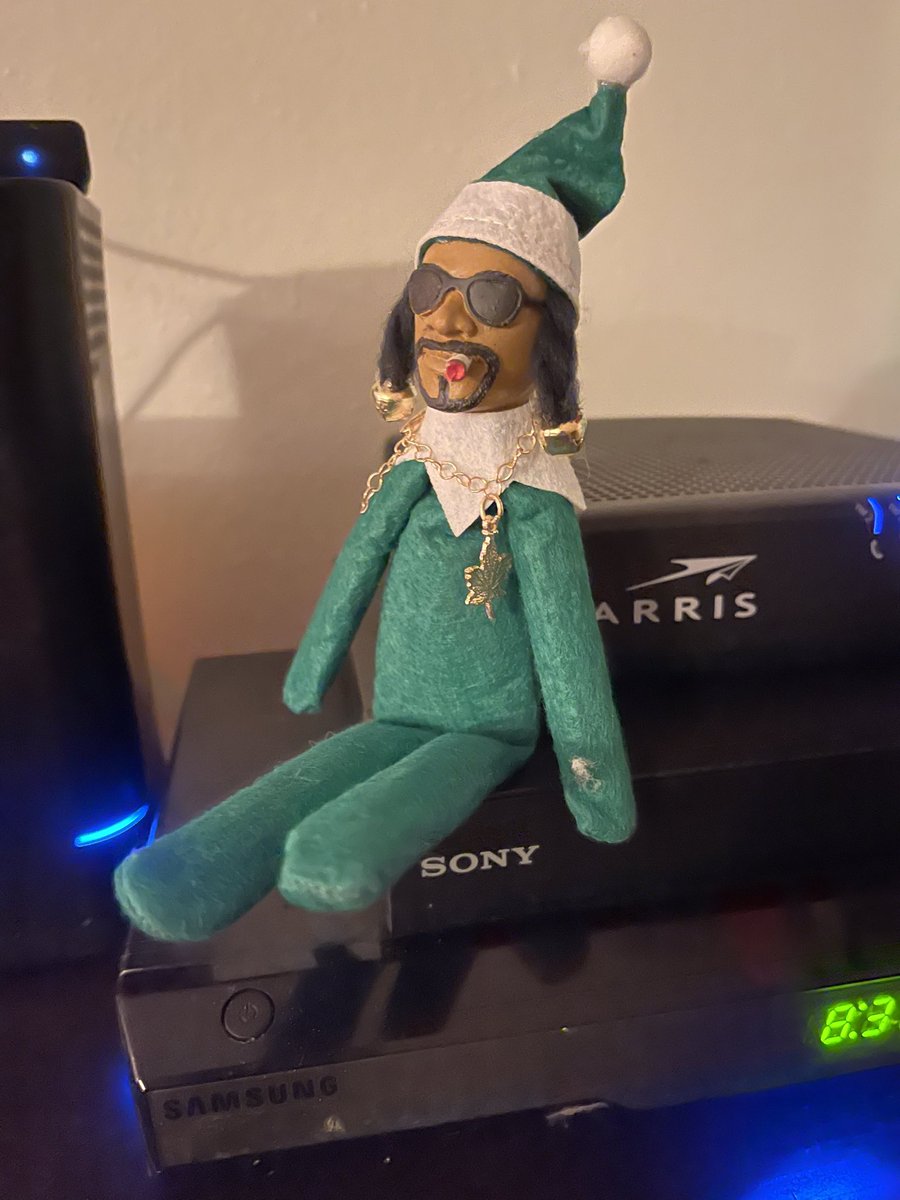 tracyguida's tweet image. I got my #snooponastoop did you?