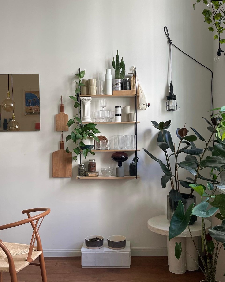 Plantsome_CA's tweet photo. Elevate your #shelfie this #blackfridayweekend 🌱 

📸:// @eightyfive.sqm https://t.co/dbiXisRU1N