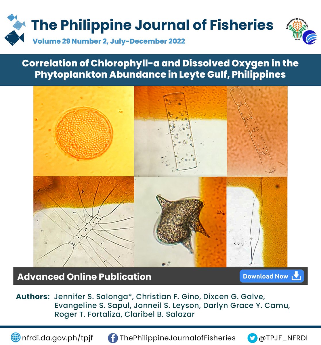 TPJF_NFRDI's tweet photo. #TPJFArticle
The current paper aimed to determine the diversity of phytoplankton, examine the chlorophyll-a & dissolved oxygen concentration & distribution, and correlate the results to the examined water parameters in the Leyte Gulf.
Read the full paper https://t.co/fe8thl1eWX https://t.co/fsVnmp9ule