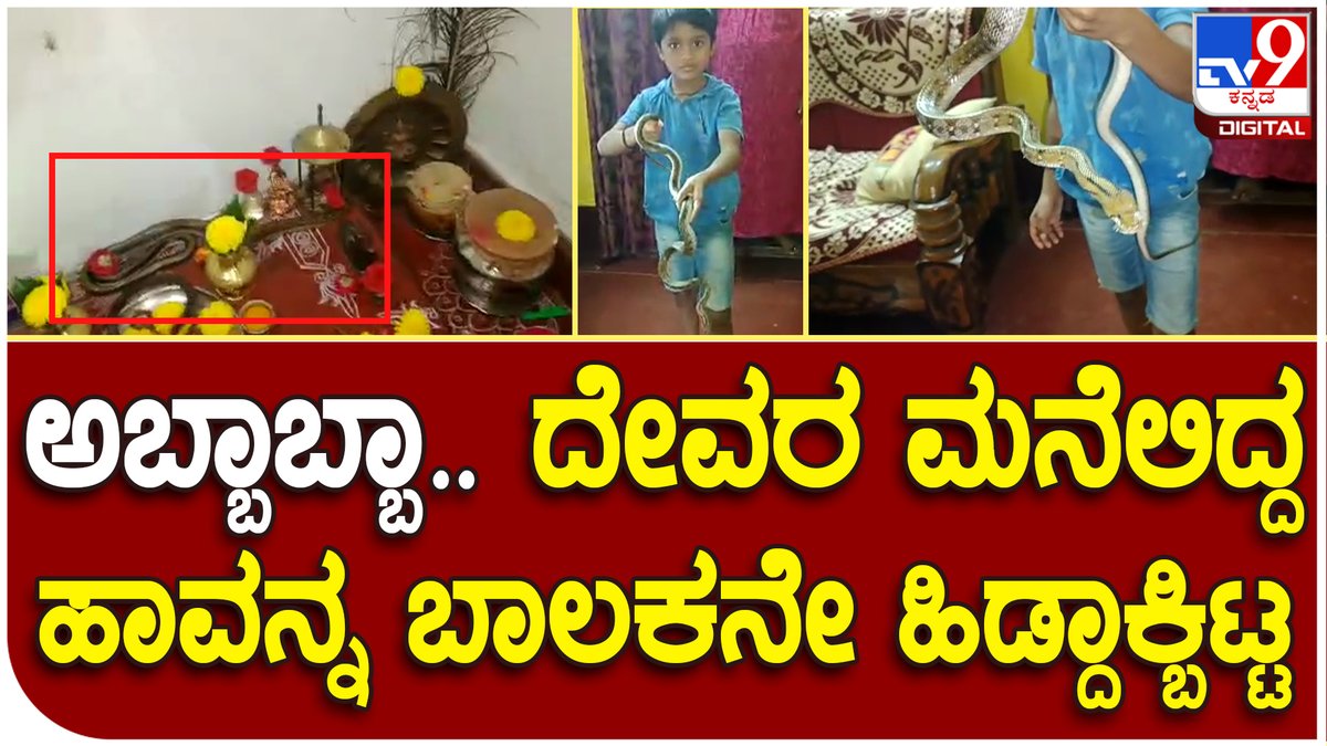 tv9kannada's tweet photo. Jewel snake: ಮನೆಯ ದೇವರ ಕೋಣೆಯಲ್ಲಿದ್ದ ಹಾವು ರಕ್ಷಣೆ | Tv9 Kannada
Video Link►https://t.co/Ce88ebwnGB
#Tv9Kannada #JewelSnake #BigCobra #SnakeAttack #snakerescue #Pythonprotection #Tumkur https://t.co/bIwGrTqRfl