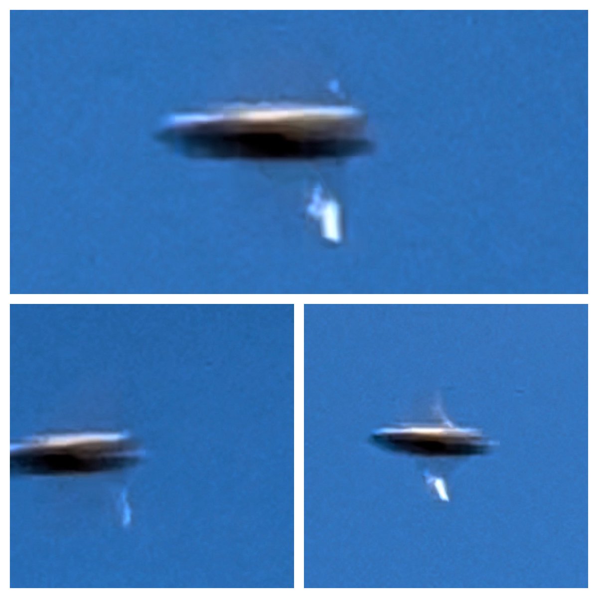 DayleSea's tweet photo. #nanobug #ufotwitter - What is it? https://t.co/45axQMEpU5