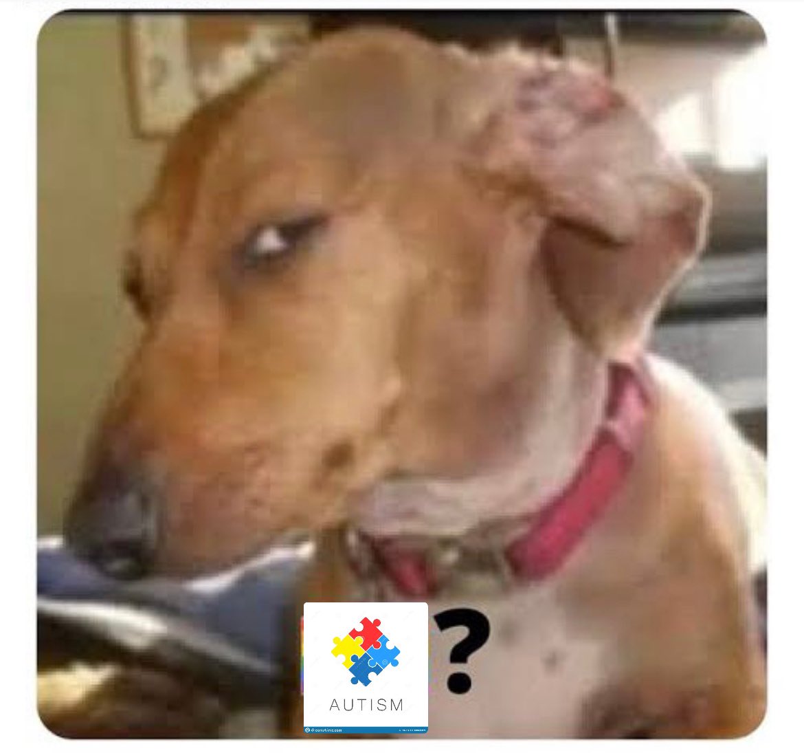 Cuando a alguien no le gusta comer algo “por la textura”.