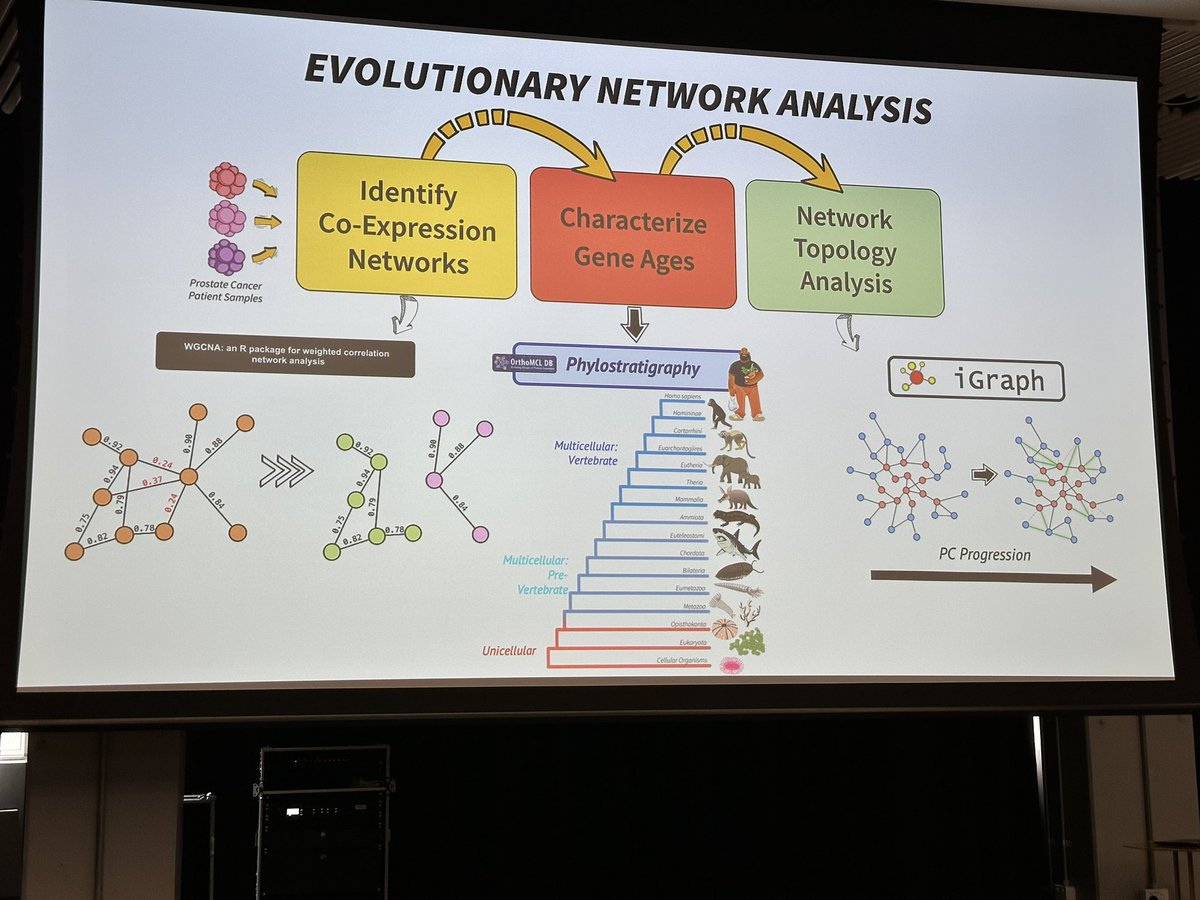 frostickle's tweet photo. Next talk is “Characterising gene co-expression changes facilitating the loss of features of multicenularity arivino prostate cancer progression” by @mikhail_dias from @PeterMacRes @anna_t_g #combine22 https://t.co/L72kJQ4vjO