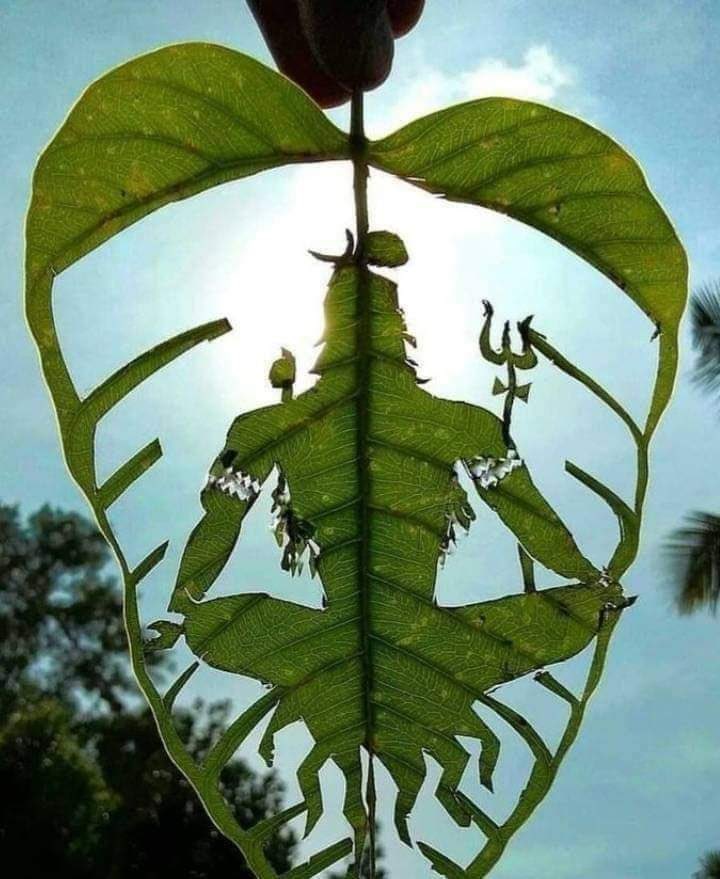 iSinghApurva's tweet photo. महादेवा।🙏🏻 https://t.co/GnOVI3Jn2c