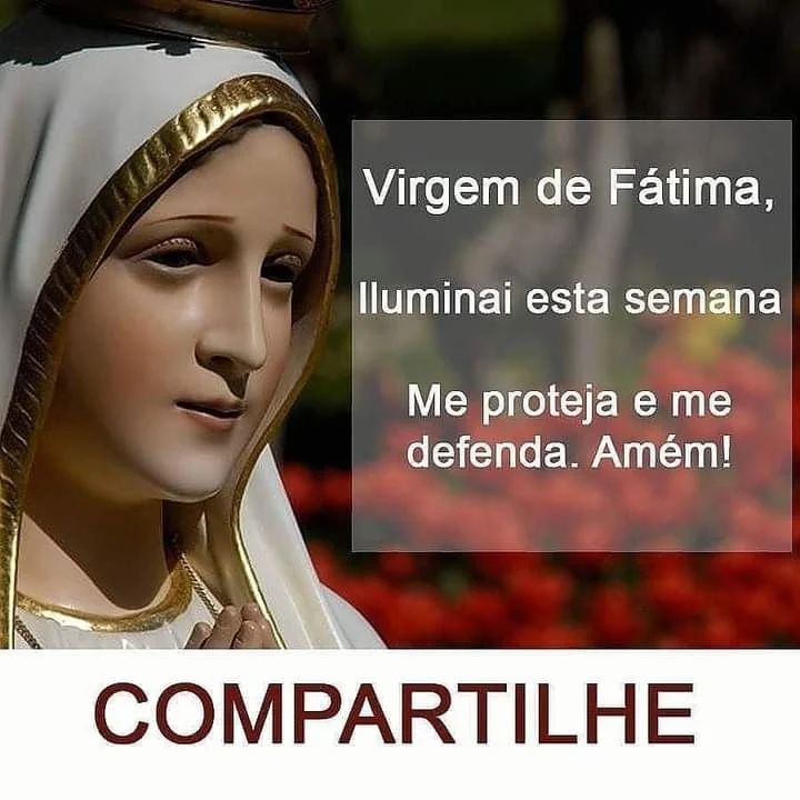 Nossa Senhora do Rosário tweet media