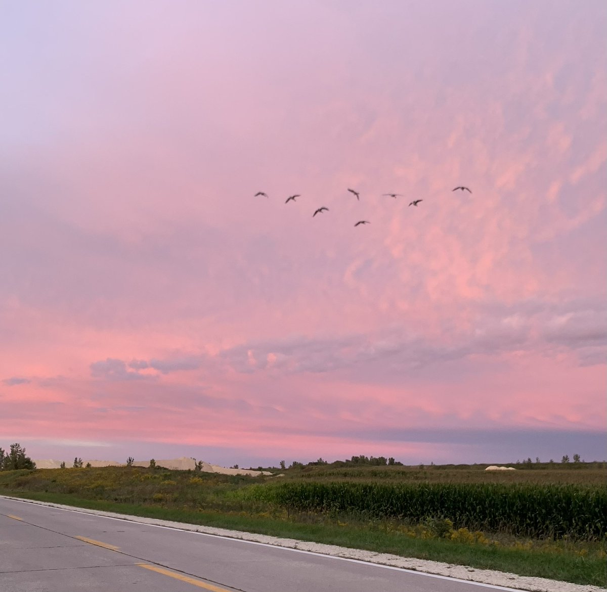 PartyPlanLife's tweet image. My friends are moving away (sad) and giving me their low table ☺️ I’m already dreaming of hosting a little picnic like one this summer! complete with an Iowa sunset of course ☀️🍉
