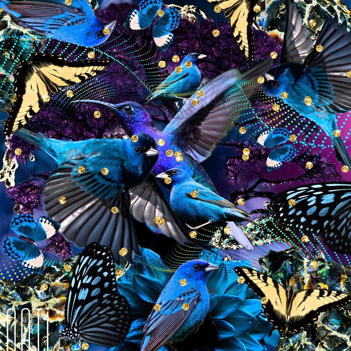 Colors by NATI tweet media