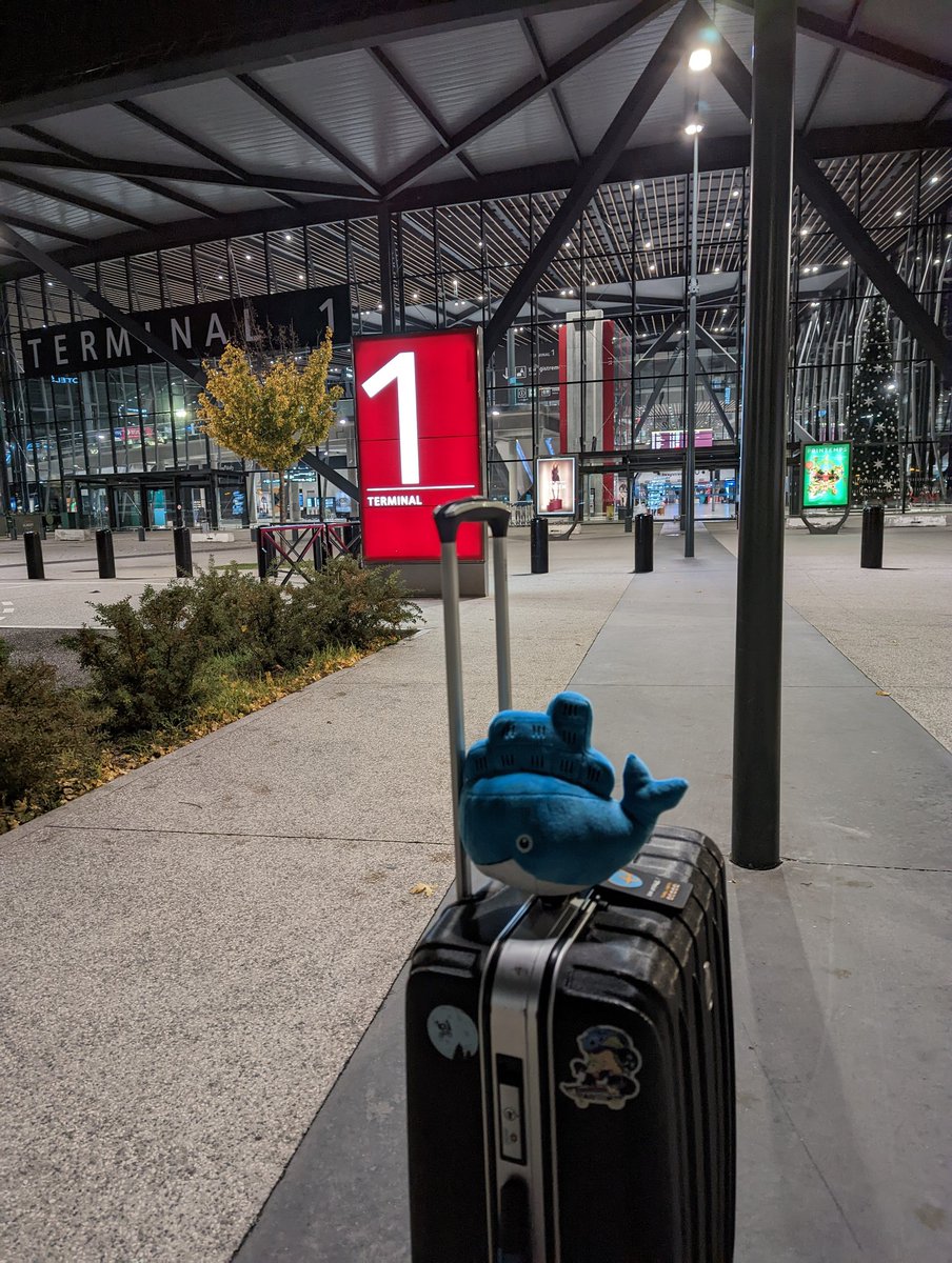 _crev_'s tweet image. #moby on the way to Las Vegas to join @Docker crew at @AWSEvents #reInvent 🤩