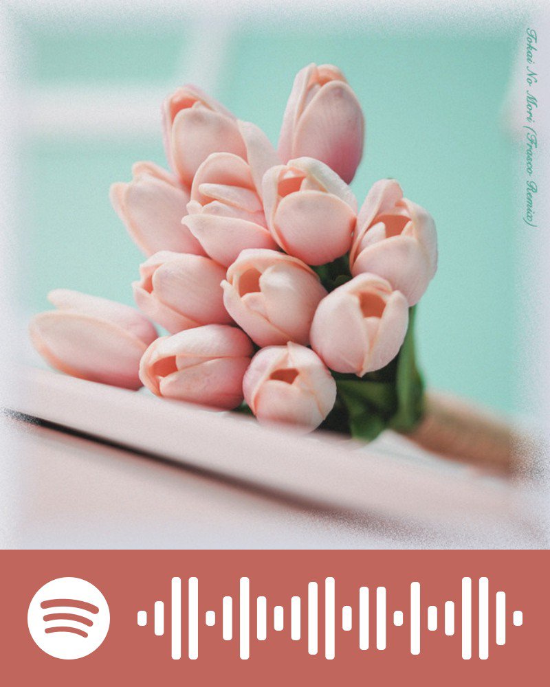 ototsujp's tweet photo. 🟢 #SpotifyPlaylist  
✅CHiLi GiRL
🎵都会の森(Frasco Remix)

Thanks to 
@SpotifyJP

 for adding playlist
🎧City Pop : シティーポップの今
🔗https://t.co/nCm6k0hUNU
🎧Women's Voice
🔗https://t.co/3z8aEJlrMe
🎧Electropolis
🔗https://t.co/exOHaKX4Qd https://t.co/hRjEjkTKWs