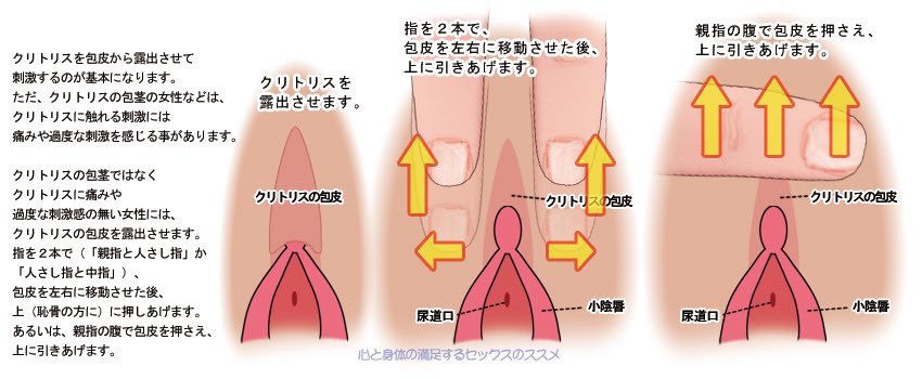 _cherry_h_'s tweet photo. 【栗の剥き方】
栗の包皮を指で引き上げることで露出させて刺激する。栗が包茎の女の子の場合は刺激が強すぎるかもしれないからそこはしっかり意思疎通して？私は全然オッケーなタイプ。 https://t.co/Hgm0lbVaDg