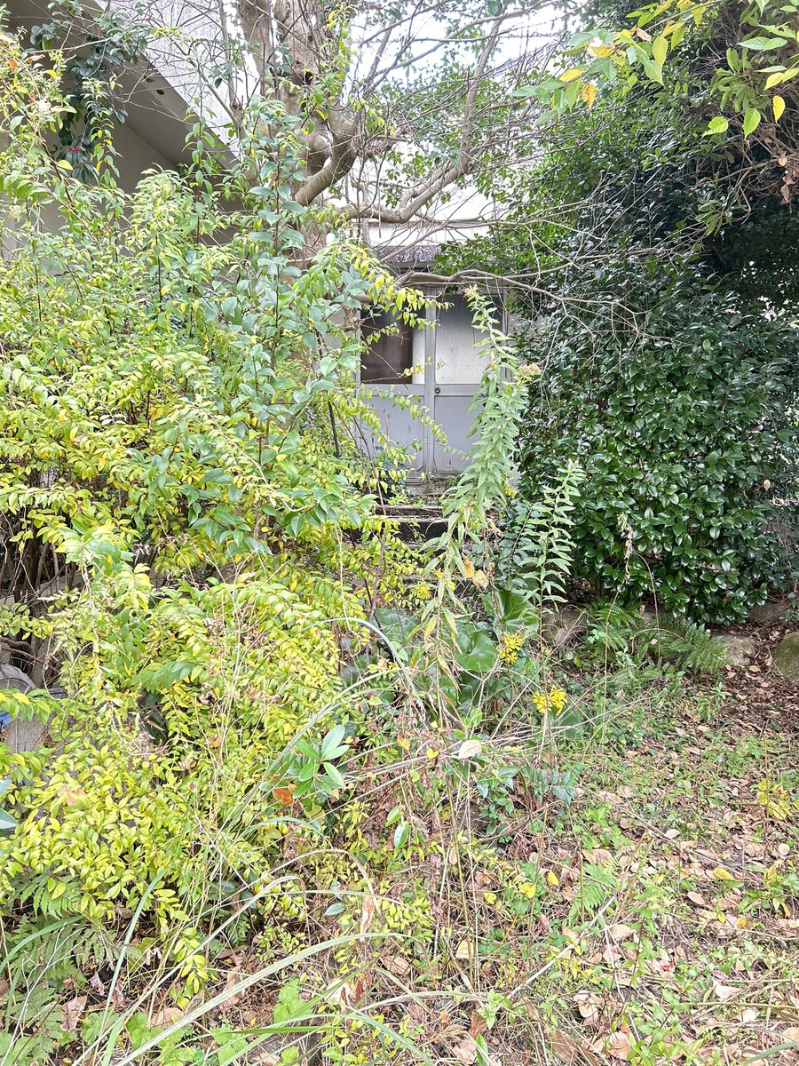 Sweet_Lab24's tweet image. 新しい扉