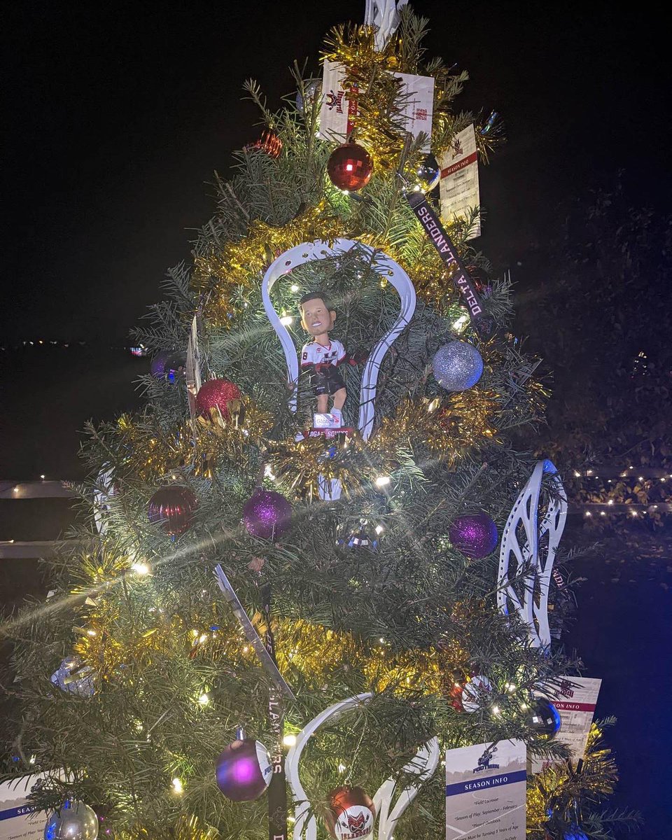 Delta_lacrosse's tweet photo. There is a new addition to our tree. 🤗 our friend @loganschuss18 . You might want to keep an eye on this one. Logan can be a little sneaky. #hideandseek #christmastree @tsawwassensprings https://t.co/SBLJHaLNA1