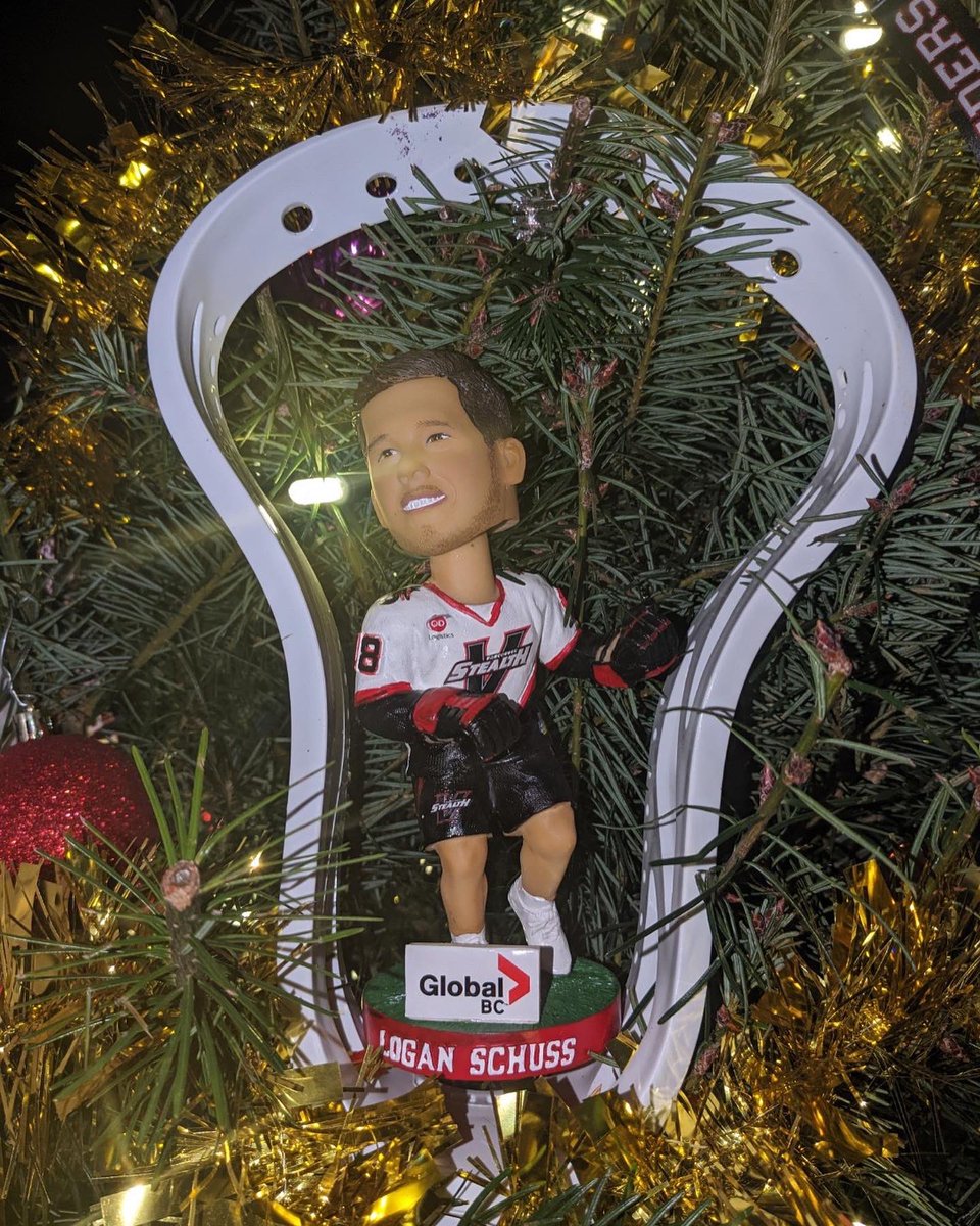 Delta_lacrosse's tweet photo. There is a new addition to our tree. 🤗 our friend @loganschuss18 . You might want to keep an eye on this one. Logan can be a little sneaky. #hideandseek #christmastree @tsawwassensprings https://t.co/SBLJHaLNA1