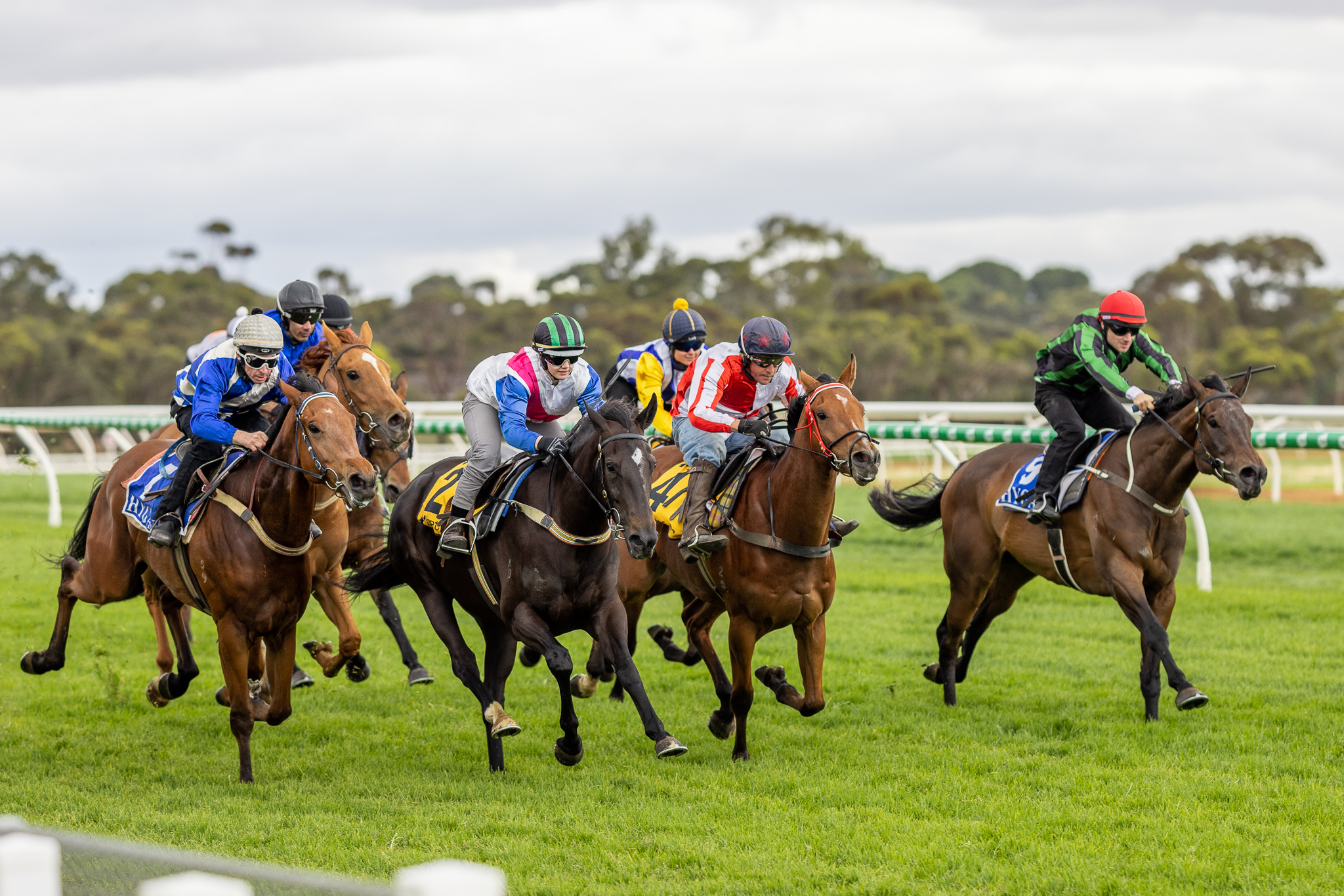 Racing SA on Twitter "Gallopers from mhbloodstock, DJollyRacing