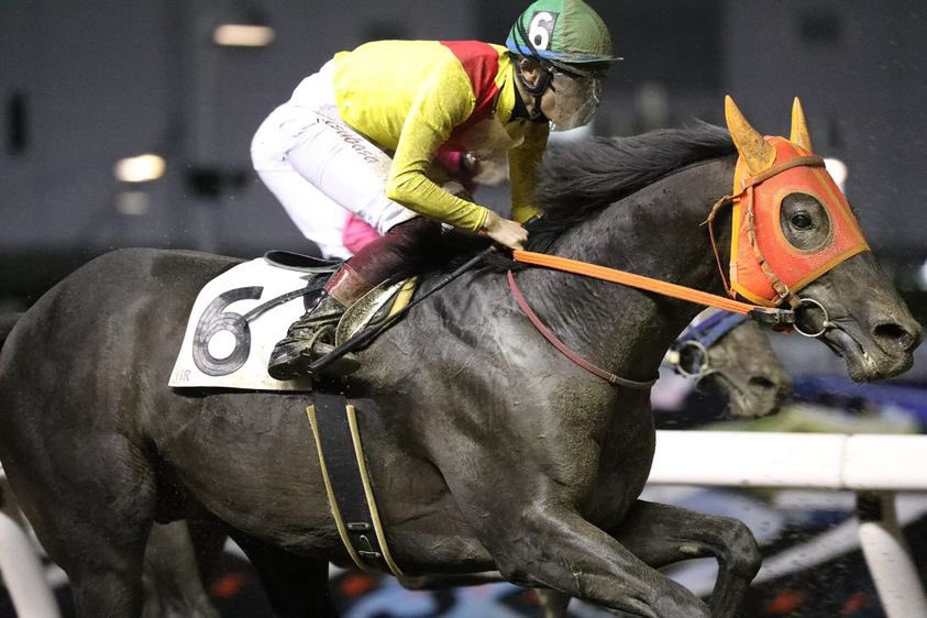 川崎と浦和で2度会えたボナヴィーゴ
新天地でも元気に走って欲しいです✨
僕の写真を使って下さりありがとうございます😌