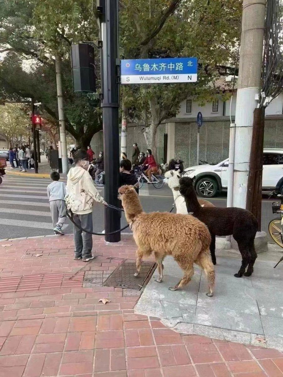 renata65575853's tweet photo. 这几天存的一些图 https://t.co/RDYKOkuC9g