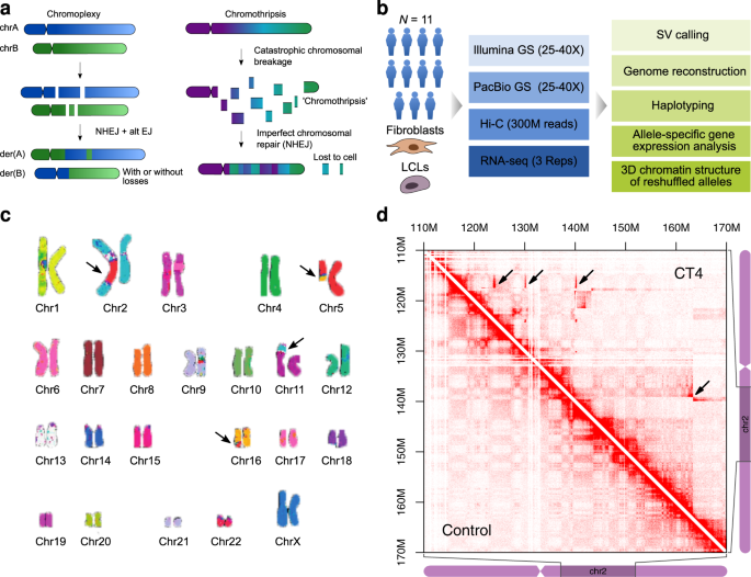 Nature Communications (@naturecomms) on Twitter photo Researchers <a href="/MeloUira/">Uirá Souto Melo</a> <a href="/StefanMundlos/">Stefan Mundlos</a> <a href="/MundlosLab/">MundlosLab</a> <a href="/VingronLab/">VingronLab</a> characterize structural variations (SVs) in a cohort of individuals with complex genomic rearrangements and investigate their impact on gene expression and the 3D chromatin architecture.
go.nature.com/3VgGeAM Researchers <a href="/MeloUira/">Uirá Souto Melo</a> <a href="/StefanMundlos/">Stefan Mundlos</a> <a href="/MundlosLab/">MundlosLab</a> <a href="/VingronLab/">VingronLab</a> characterize structural variations (SVs) in a cohort of individuals with complex genomic rearrangements and investigate their impact on gene expression and the 3D chromatin architecture.
go.nature.com/3VgGeAM