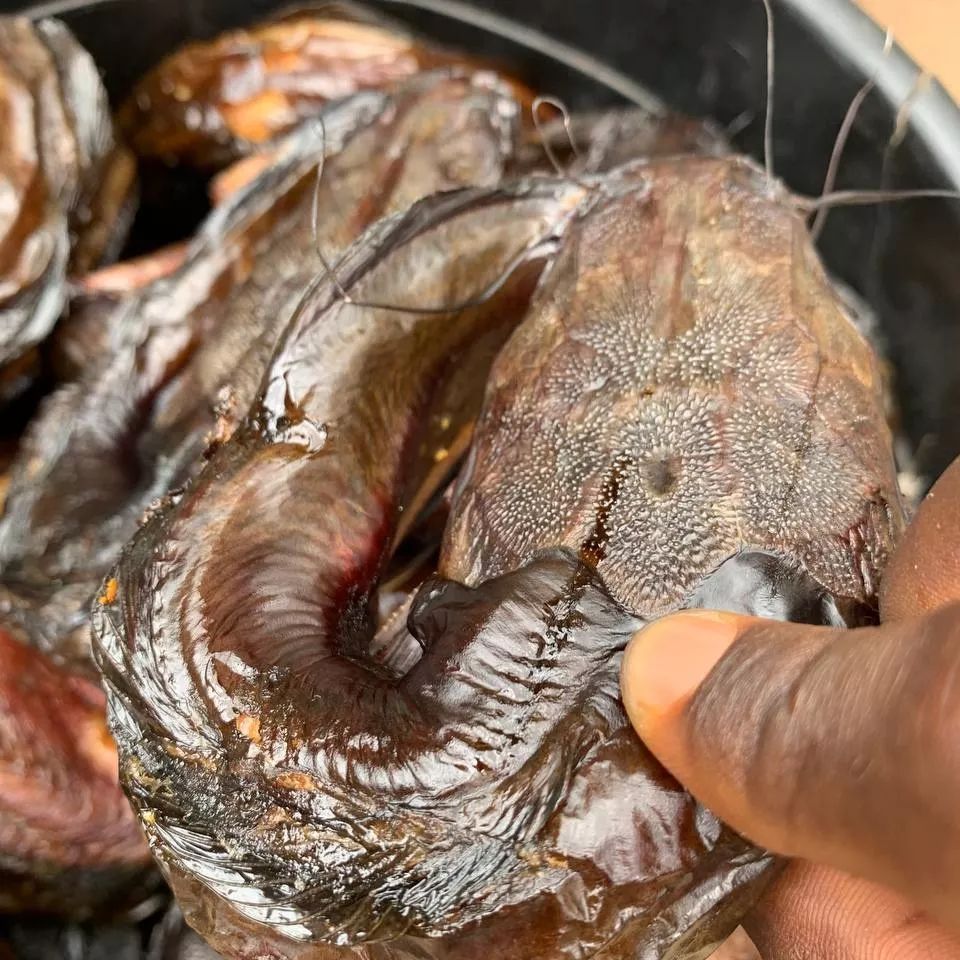 ElTeezy1's tweet photo. I promise you, i make the best oven smoked dried cat fish in Lagos state.
No preservatives.
Just premium smoked all the way for 2 days.
8,500 naira per kg
About 9 fishes in a kilogram.
Can be waybilled anywhere

Please Patronise this my side hustle... Let it turn to main hustle. https://t.co/ss1N9i2vv7