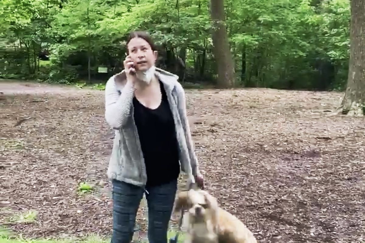 Widgett Walls tweet media