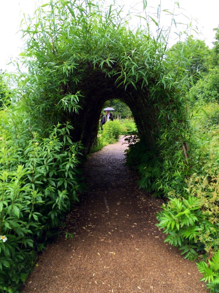 With the very warm autumn #willow harvesting  is at last underway despite the wet weather. All certified ‘UK5-Org’ by <a href="/SoilAssociation/">Soil Association</a> &amp; everything is cut and bundled by the pair of us &amp; then graded by size and length.
