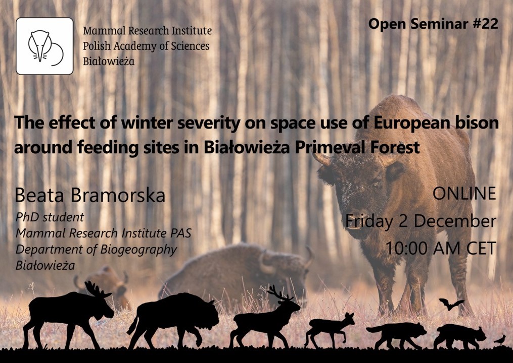 mriBialowieza's tweet photo. 📢Open Seminar coming up!
Our PhD student Beata Bramorska will speak about the #spaceuse of European #bisons. We invite you to enjoy her talk and join a discussion about this interesting topic. Save the date: 2nd Dec, 10 AM CET. 🦬
#winter #forest #feedingbehavior #Białowieża https://t.co/gQ8hm7Ju2b