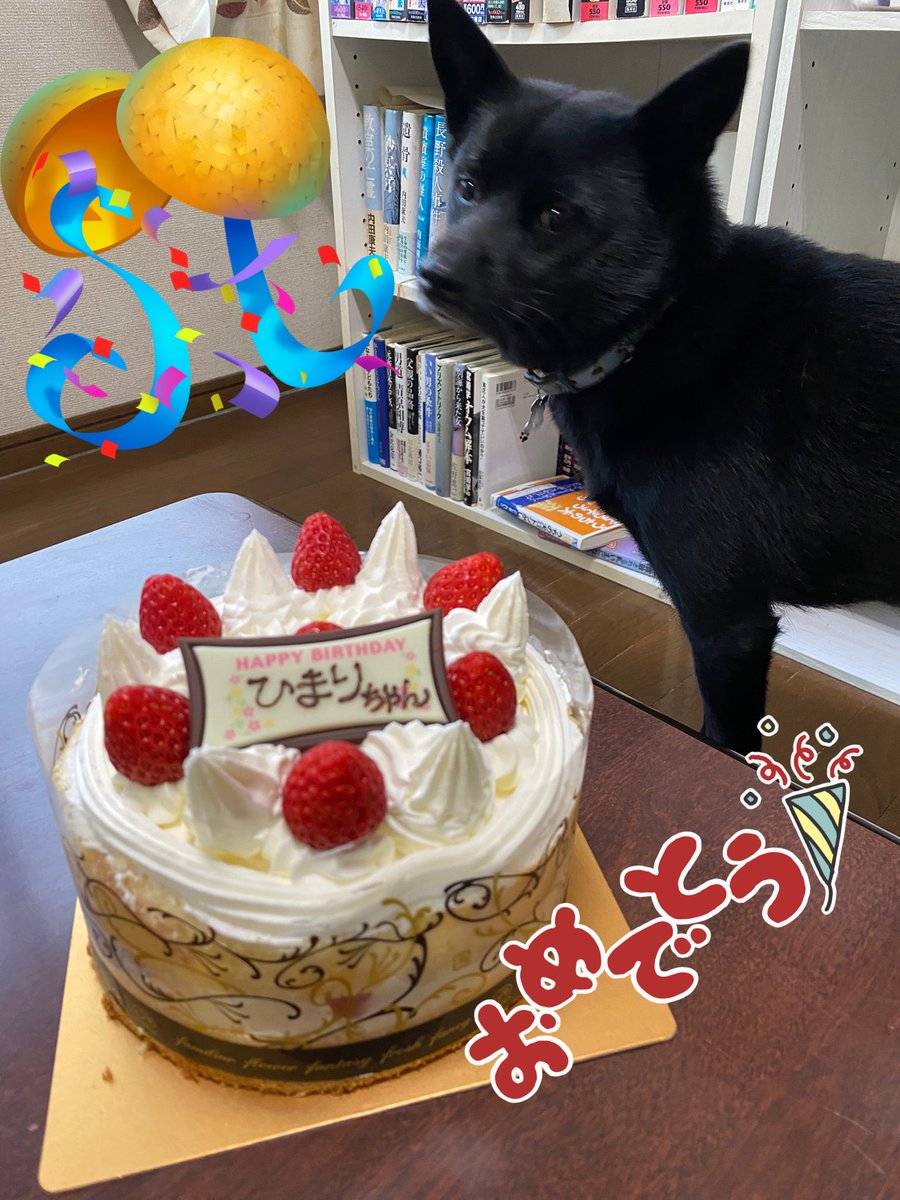 kuma3hima7's tweet photo. 今月２６日に
愛犬ひまりは５歳になりました🎂

まだまだ若い５歳
これからも楽しく元気いっぱいな
犬生を過ごしてね！
お父さんがひまりを
うーんと幸せにするから❣️

＃甲斐犬　＃愛犬　＃お誕生日 https://t.co/xG5oNurrCO