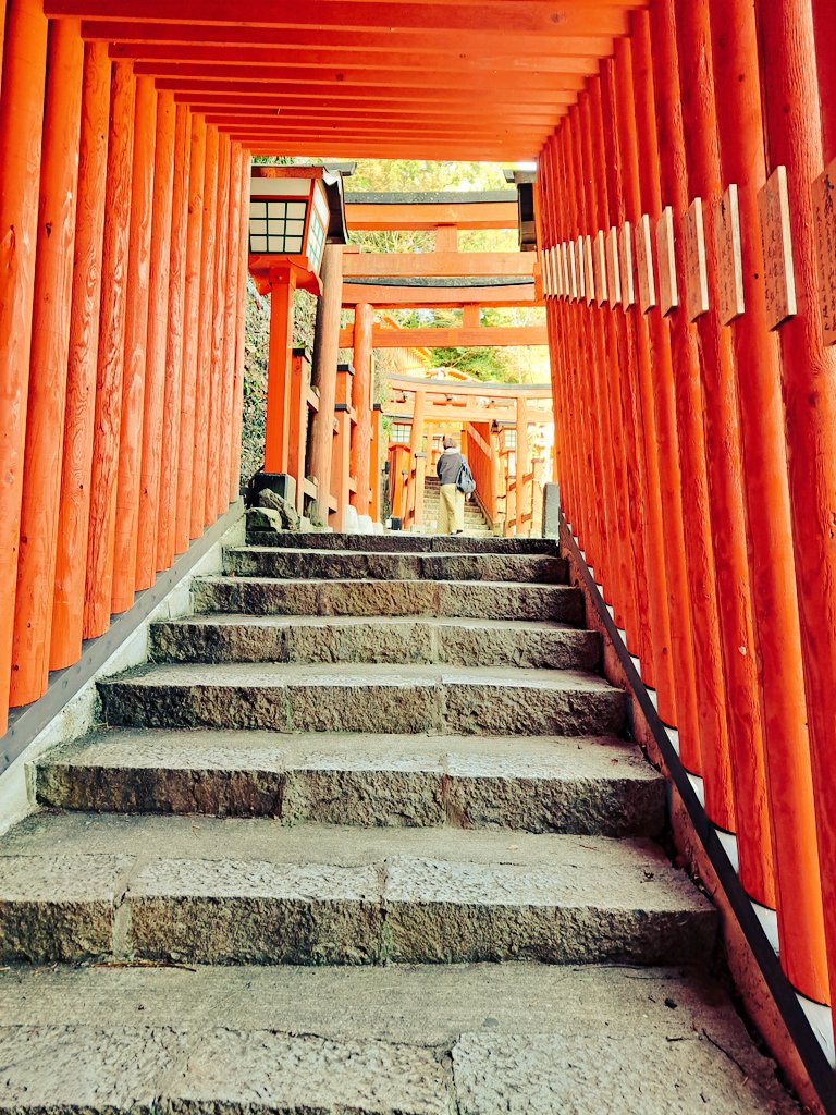 tanakaru99's tweet image. 昨日、津和野に訪れた際の写真をあげてみます。ひさしぶりの津和野訪問でテンションがあがり、城下町から #津和野城跡 まで３時間くらい散策（城跡まではリフトを使いました）。高所嫌いな妻を連れ回して申し訳ないことをしたので、お詫びに何かしなければ…何にしましょうか🤔