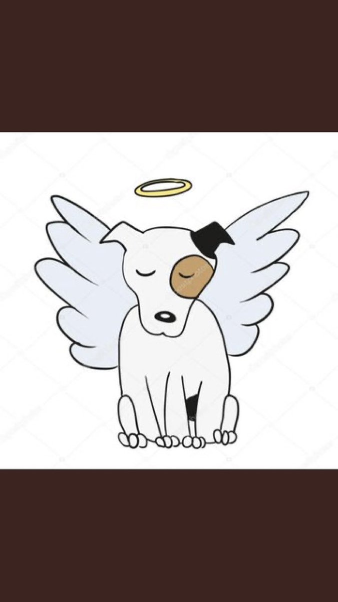 Bu çocukların ne suçu var ki..‼️Sadece dünyaya köpek olarak gelmişlerdi.. ‼️#SOKAKHAYVANLARISAHİPSİZDEĞİL