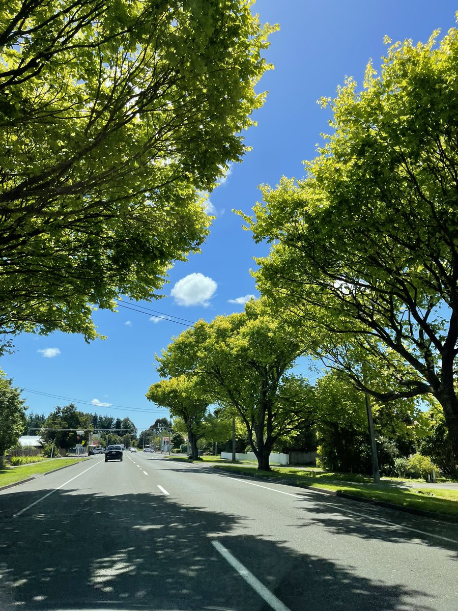 TwitNinja tweet media