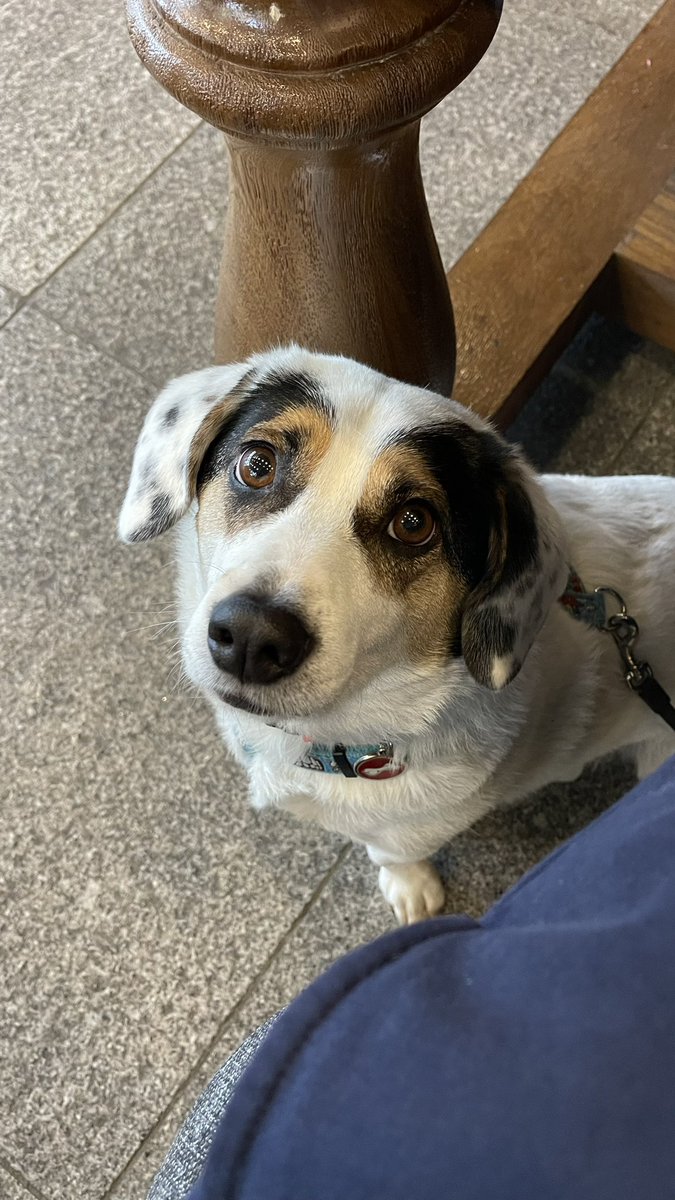 “Sanmayın ki sokaklardaki, barınaklardaki arkadaşlarım sahipsiz ve istediğiniz her şeyi yapma hakkına sahipsiniz! Sonuna kadar hepsinin yanındayız!” #SokakHayvanlarıSahipsizDeğil