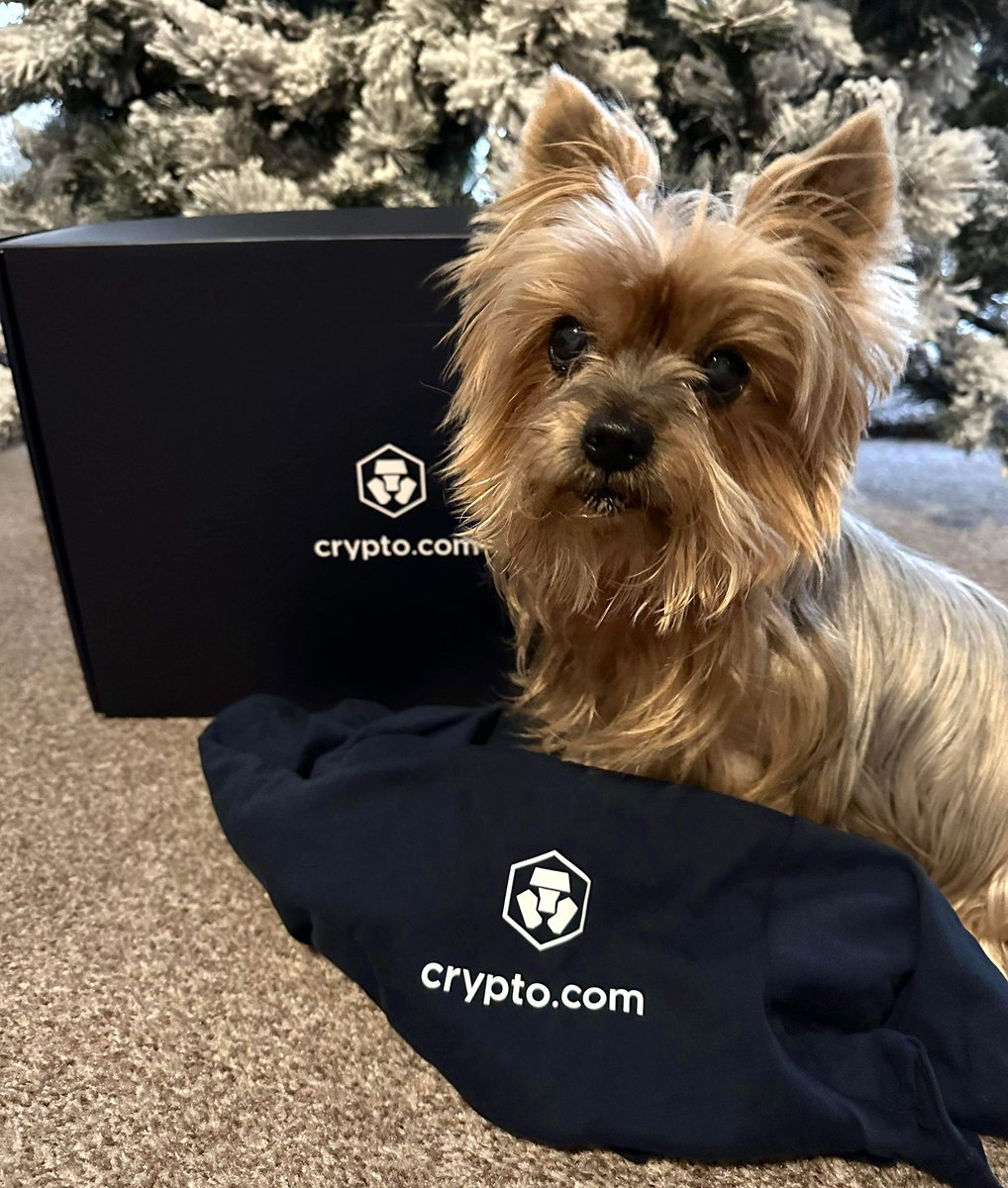 Happy Monday! ☀️

Show your pets, #crofam ! 🐶

#crofam #cro #fftb <a href="/cryptocom/">Crypto.com</a> <a href="/kris/">Kris</a> @Mat_CDC #showyourpet #puppy @GeoffCDC
