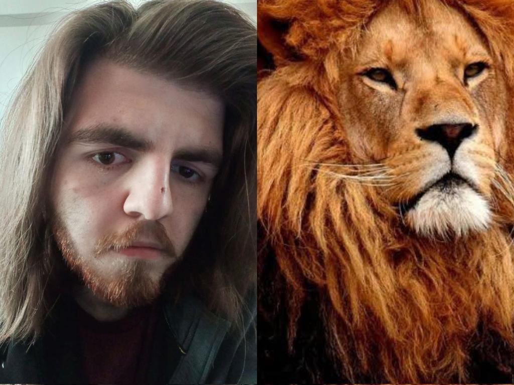 Yeni yıkanmış saçlarla Lion King Simba Cosplay skddkdkfj