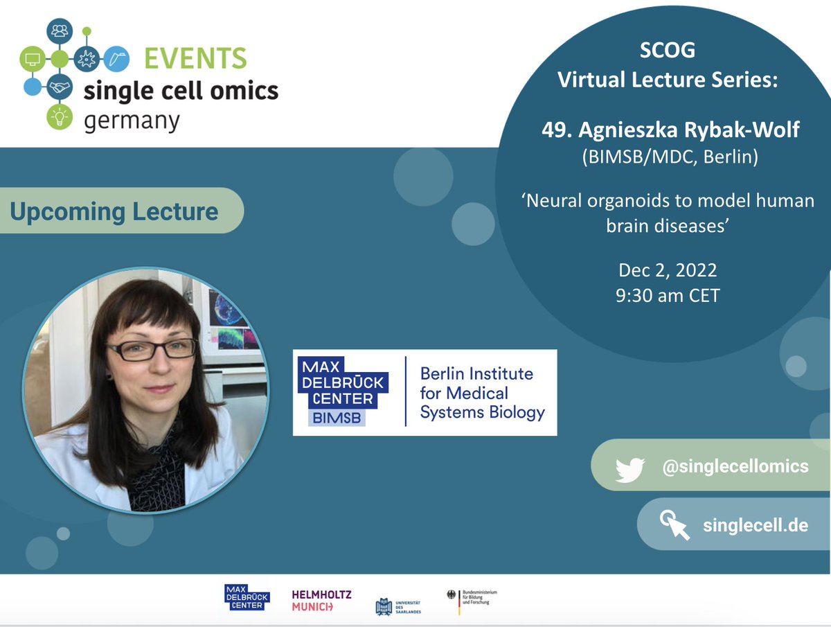 📢 Join the SCOG Virtual Lecture #49 (Zoom)
⏰ December 2, 9:30-10:15am CET

💬 Agnieszka Rybak-Wolf (<a href="/BIMSB_MDC/">MDC-BIMSB</a>, <a href="/MDC_Berlin/">Max Delbrück Center</a>)  
💡 "Neural organoids to model human brain diseases"

✏️ Registration: bit.ly/scogvls
#SCOGVLS