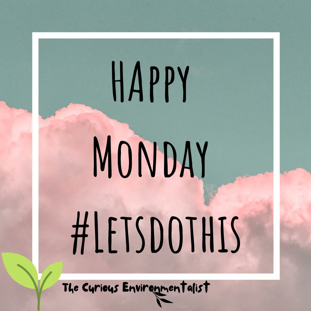 curiousenviron's tweet photo. What are your goals for the week ahead?
How are you going to help the world around you become a better place for us all?
#HappyMonday #TakeOnTheWeek #YouGotThis #MondayMotivation https://t.co/TwJ6bE1Iih