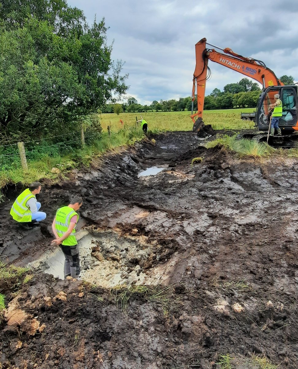 gri_cooperative's tweet photo. π§βπΎFarmers inspecting pond creation work at the Carrollβs Farm. The peat is excavated down to marl and wide shallows are made as these are the richest part of the pond for wildlife.ππ¦
#pondcreation #waterquality #biodiversity #agriculture #greenrestorationireland #ireland https://t.co/DQ1decxYaq