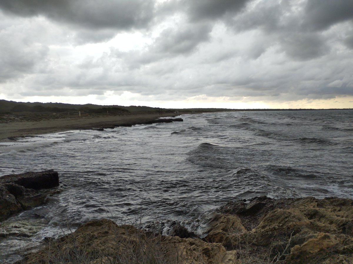 CoastSnapBal's tweet photo. Avui estem al #PNEsTrenc mesurant l'evolució de la platja #coastsnaparenaldentem @socib_icts @CentinelasCosta @cmat_ib @FonsGoib https://t.co/xfDHQSCXgA