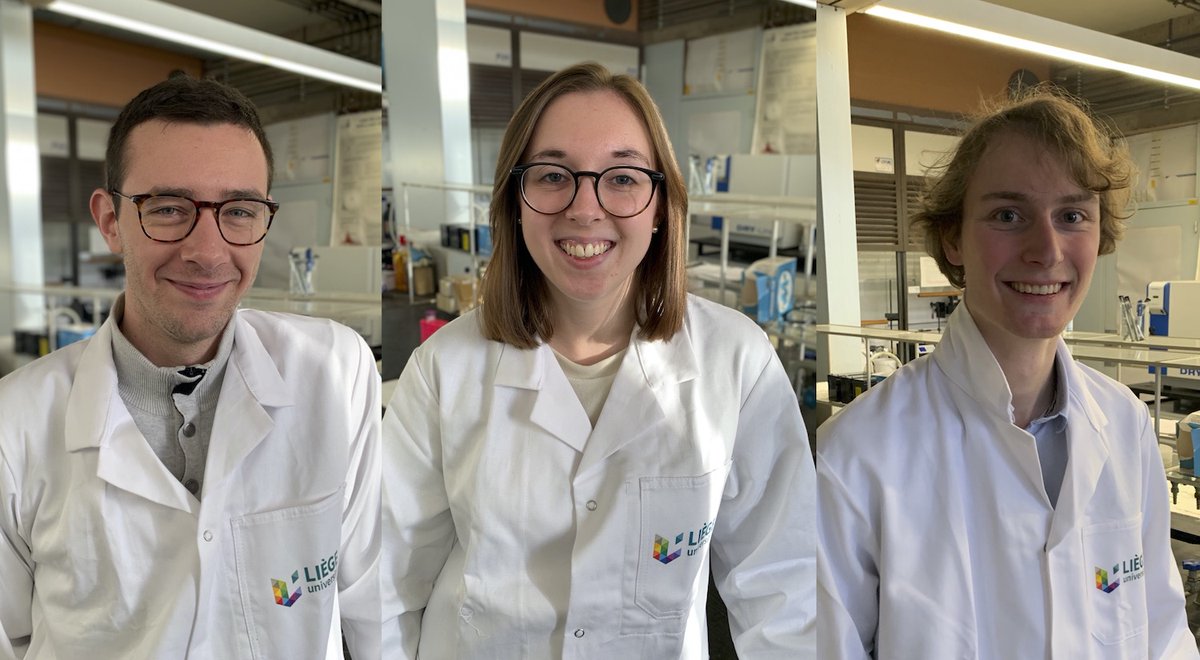 Damien Sluysmans tweet media