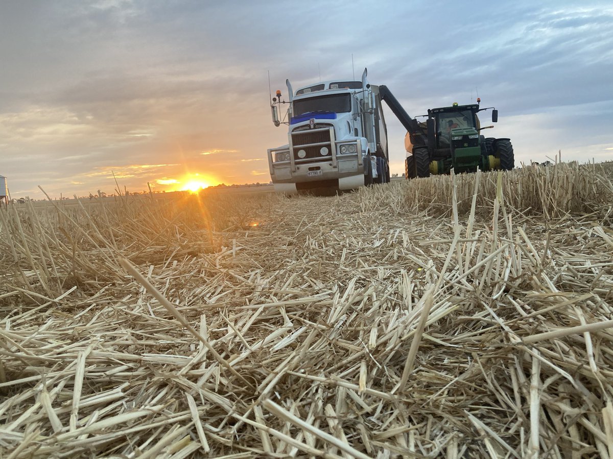 We are currently looking for a chaser bin driver for harvest. Immediate start Modern equipment, Attractive salary Location- Kaniva, Victoria More info please contact Damien Hawker Zero4zeronine931250