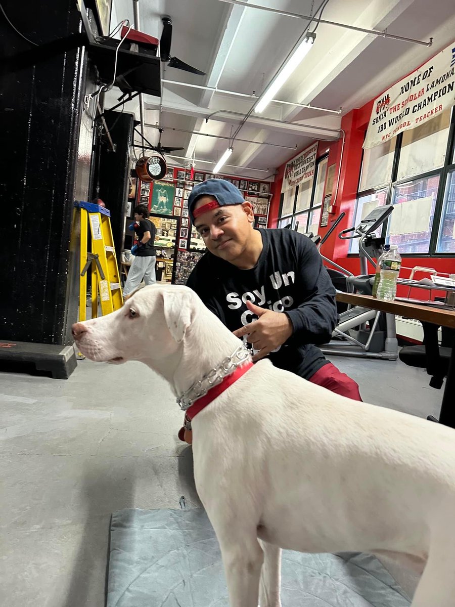 juanjeremy100's tweet photo. Weekend #gleasonsgym ⁦@GleasonsGym⁩ at #wuw #wwe #wwehof #johnnyrodz #wrestling #prowrestling #luchalibre #sportsentertainment ⁦@rodzjohnny⁩ club #cornerman w #cornerdog https://t.co/pzCzmi0ECO