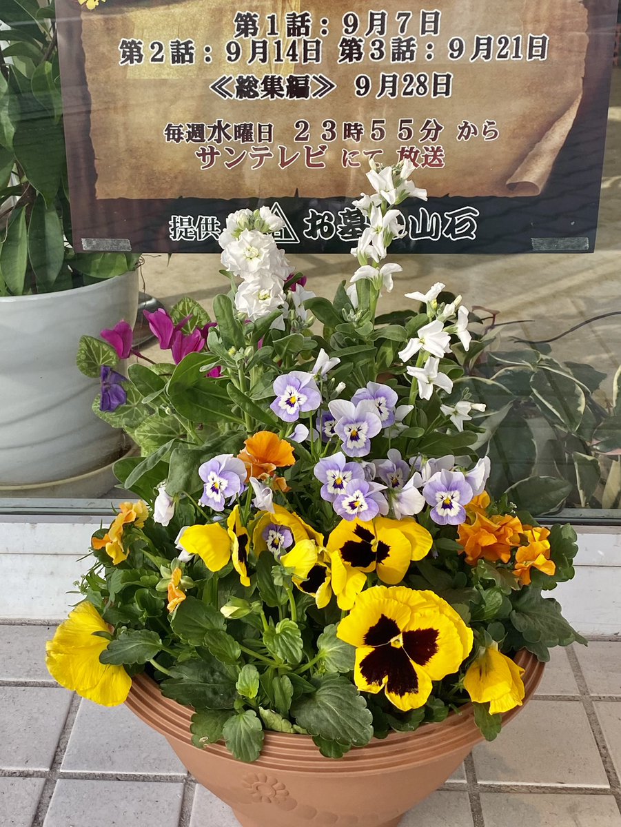yamaiship's tweet photo. 今日の #加古川市 は晴れ☀️！
降水確率0%！！

昨日加西市で開催された
Music Fantasy Festa!!で出会った
お花を飾ってみました💐
#播磨農業高校園芸科草花デザインコース の学生さん達が育てたお花☺️

花のある生活　いいですね＼(^^)／
#企業公式が地元の天気を言い合う https://t.co/Yic0qkdqLz