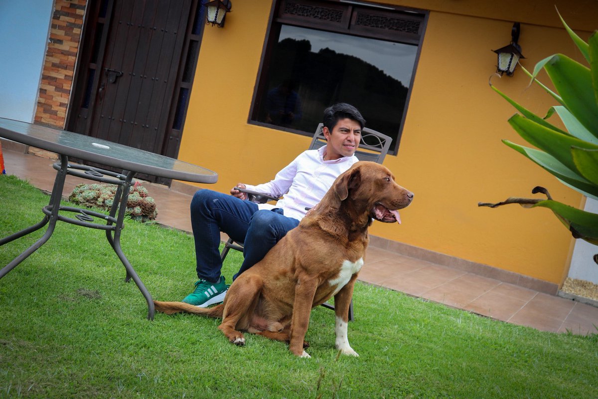 El mejor amigo del hombre. 🐾🐾🇨🇴