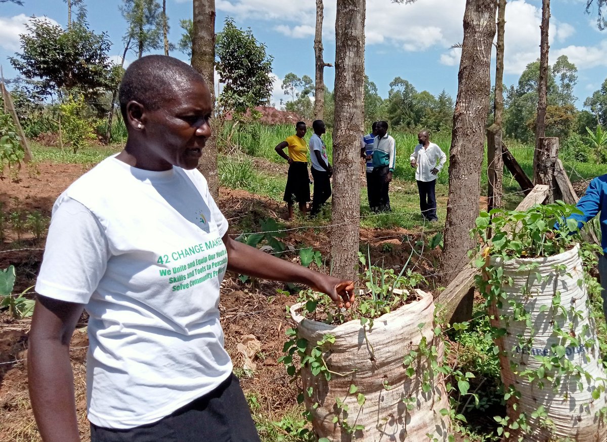 GabrieIngubu's tweet photo. Women in Kakamega fighting back Gender Based Violence on them through indigenous vegetables farming @RuralWomenPL @acaciainkenya https://t.co/N3Uyuwm8mJ