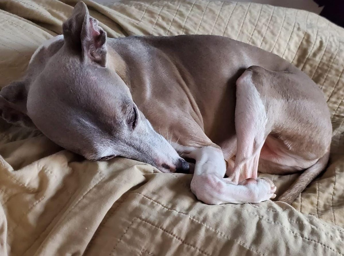 Goodnight twitter 😴