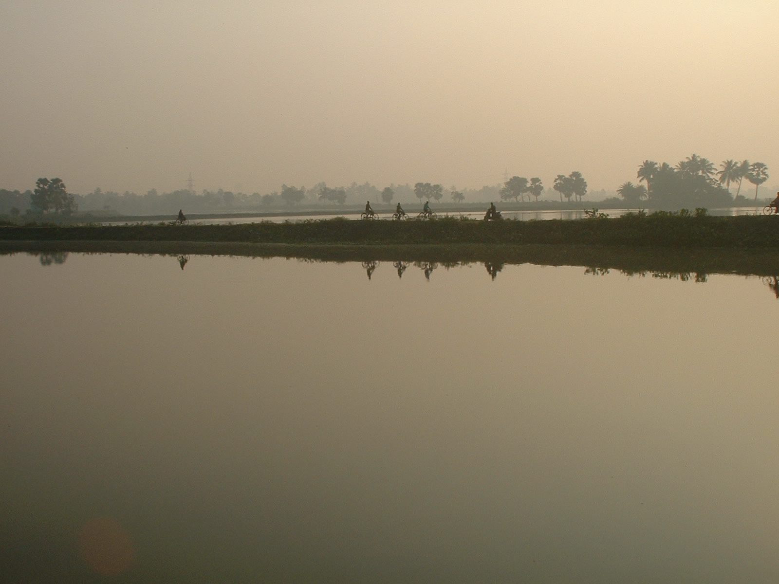 Samrat basak on twitter east kolkata wetland not just provide eco
