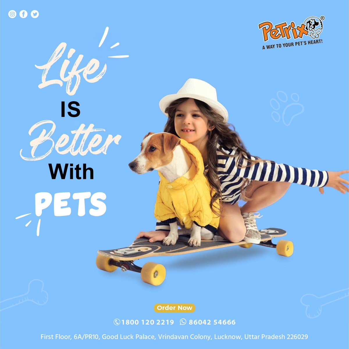petrixpetfoods's tweet photo. 🤠🤠
#chewsticks #yummysticks #pettreats #petrixpetfoods #petlovers #dogsoftwitter #petrix #petrixfamily #madeinindia #fdacertified #petfriendly #naturalpetrixtreats #Rawhidetreats #petrixbrands #buychewsticks #healthytreats #lucknow #indian https://t.co/O1dkxBwNuh
