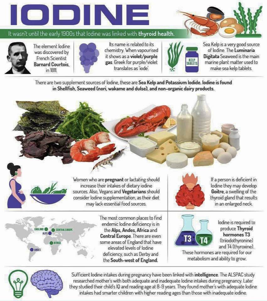OrganicLiveFood's tweet photo. 👇 https://t.co/208ymmdkJU
