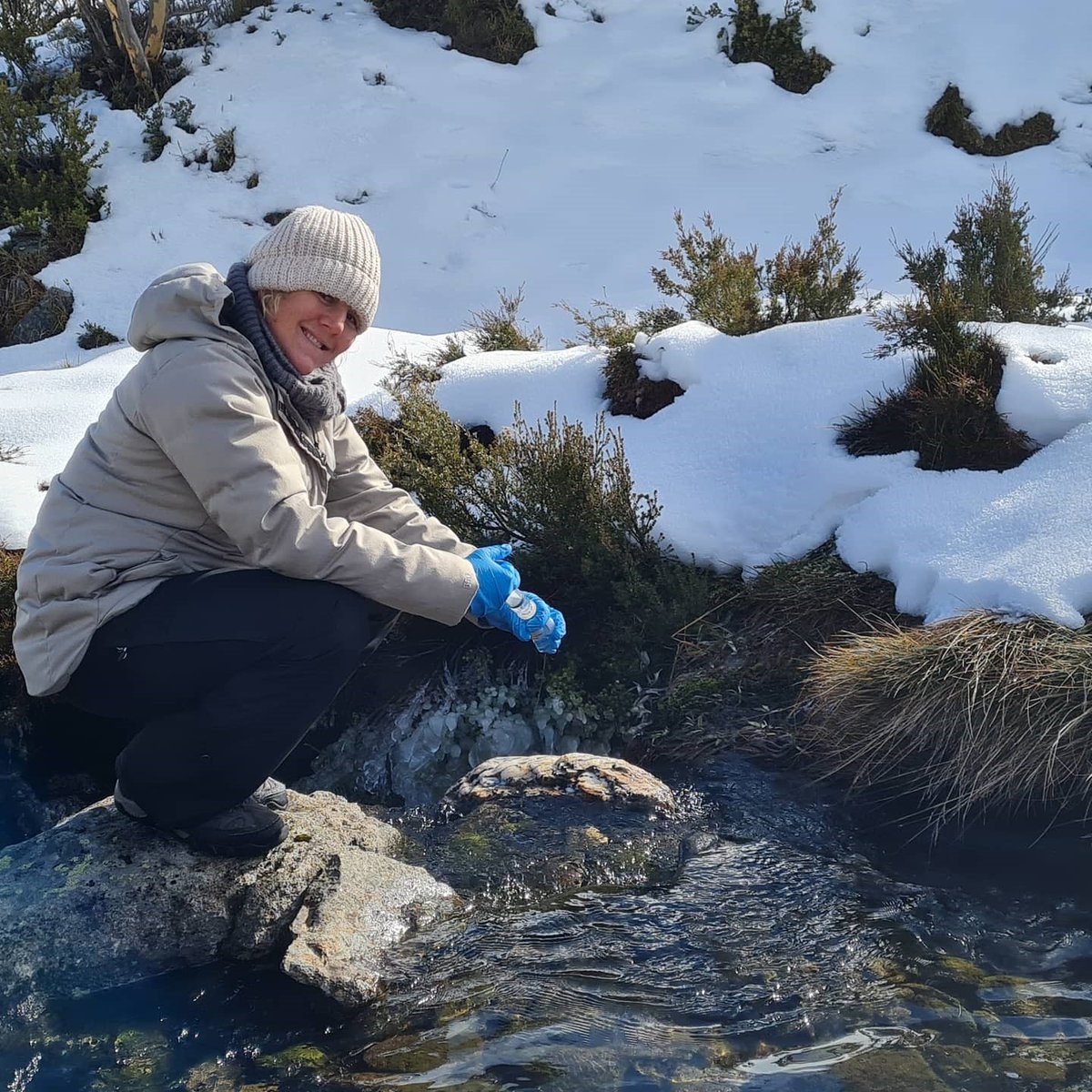 Also make sure you attend Dr Aleicia Holland's <a href="/aleicia_holland/">Dr Aleicia Holland</a> presentation #AFSS2022 <a href="/AusFreshwater/">Australian Freshwater Sciences Society (AFSS)</a> <a href="/SETAC_AU/">SETAC Australasia</a> on the contrasting effects of DOM on metal toxicity and bioavailability in freshwaters Thursday 11.20am presenting work by <a href="/GwilymPrice/">Gwilym Price</a> and Gabriella Macoustra
